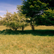 Illustration for article titled Can you spot the camouflaged snipers hiding in these photographs?